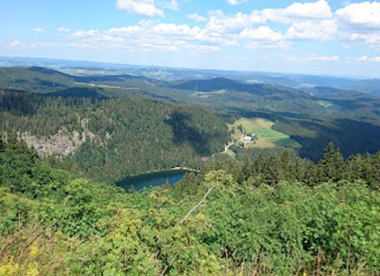 germany/black-forest/landmark/bismarck-denkmal