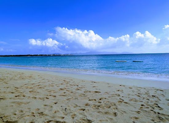anguilla/rendezvous-bay/landmark/sunshine-shack