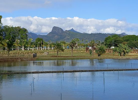 mauritius/riviere-du-rempart/landmark/l-aventure-du-sucre