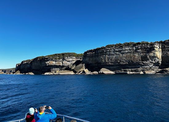 australia/jervis-bay/landmark/jervis-bay-wild
