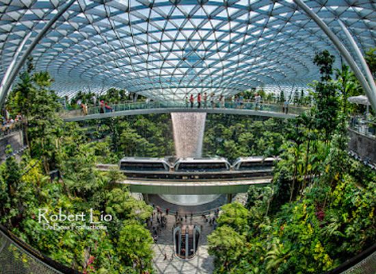 singapore/changi/landmark/canopy-bridge