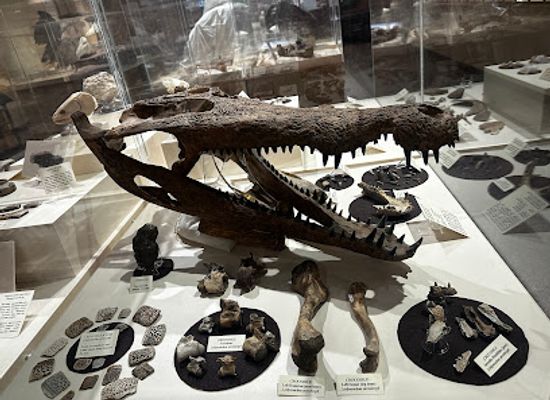 north-dakota/dickinson/landmark/joachim-regional-museum