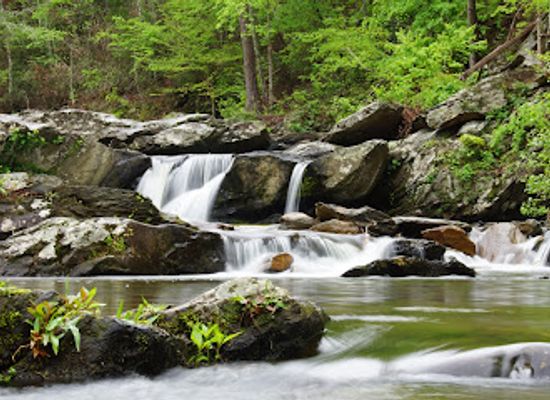 alabama/talladega-national-forest/landmark/devil-s-den-falls