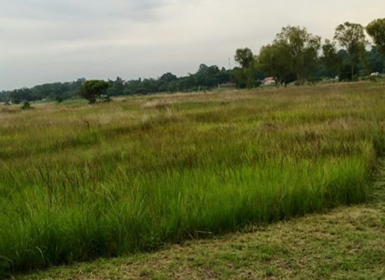zimbabwe/harare/landmark/monavale-vlei