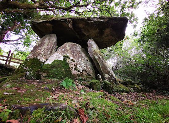 ireland/county-waterford/landmark/gaulstown-dolmen