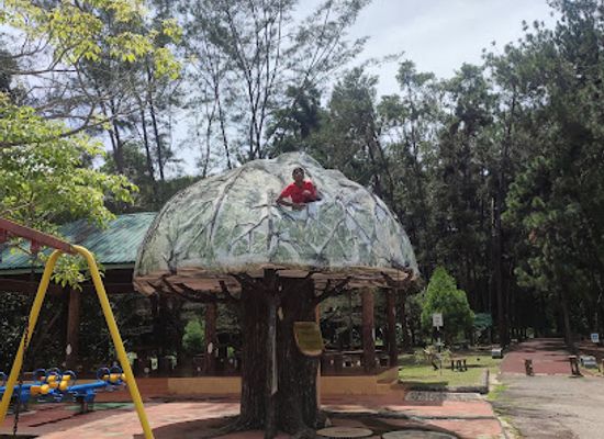 brunei/bukit-shahbandar-recreational-park/landmark/bukit-shahbandar-forest-recreation-park