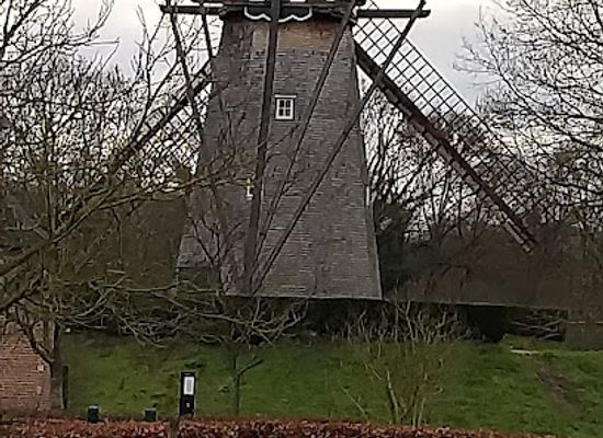 belgium/genk/landmark/cycling-through-water-bokrijk