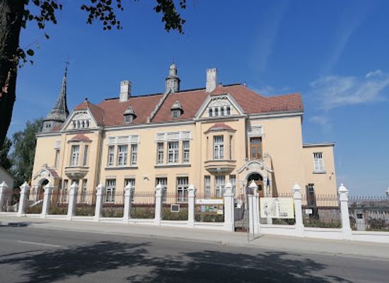 lithuania/siauliai/landmark/chaim-frenkel-villa