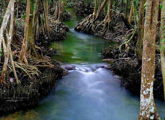 thailand/krabi-province/landmark/thapom-klong-song-nam
