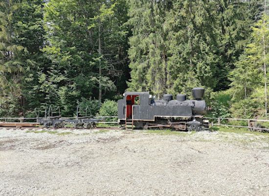 slovakia/kysuce/landmark/historicka-lesna-uvratova-zeleznicka