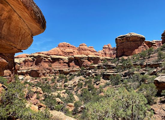 utah/canyonlands/landmark/elephant-hill-trailhead