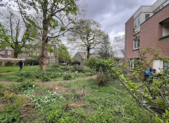 netherlands/haarlem/landmark/wijngaardtuin