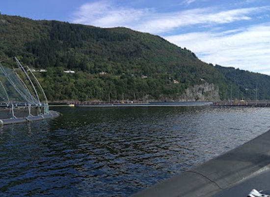 norway/sogn-og-fjordane/landmark/norway-fisheries-museum