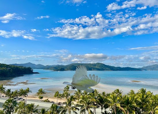 australia/the-whitsundays/landmark/catseye-beach