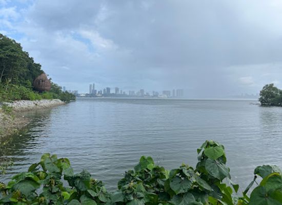 singapore/sungei-buloh-wetland-reserve/landmark/little-heron-deck