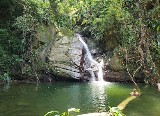 trinidad-and-tobago/tobago/landmark/castara-waterfall