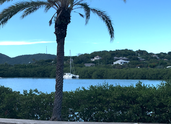 antigua-and-barbuda/saint-george/landmark/kool-kats-antigua