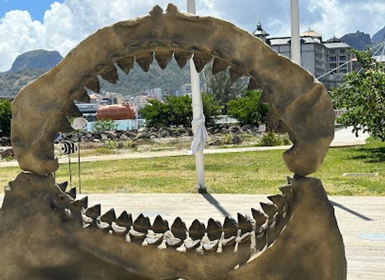 mauritius/port-louis/landmark/odysseo-oceanarium-mauritius-ltd