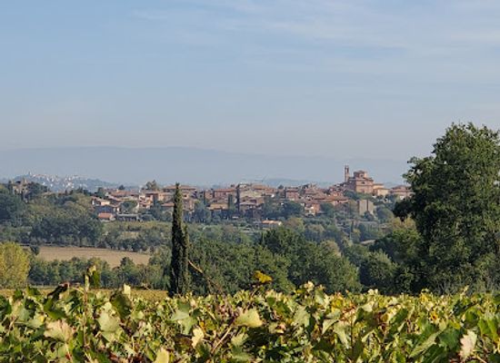 italy/montepulciano/landmark/cantina-boscarelli