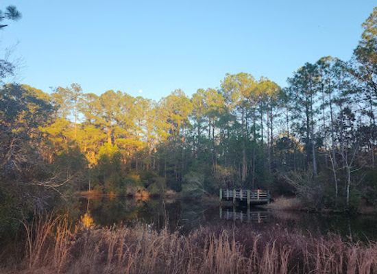 alabama/alabama-coastal-birding-trail/landmark/city-of-gulf-shores-wetlands-park