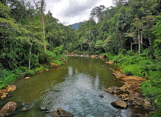 sri-lanka/dry-zone/landmark/sinharaja-forest-reserve