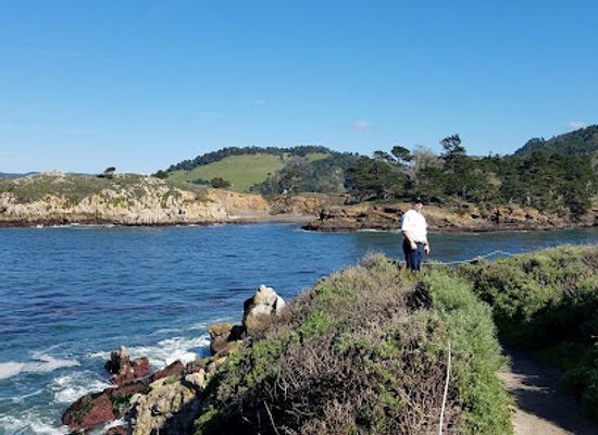 california/carmel-by-the-sea/landmark/mission-trail-park