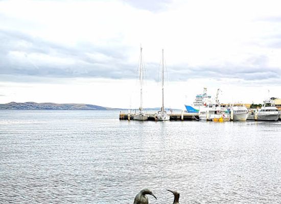 australia/hobart/landmark/the-bernacchi-tribute-sculptures