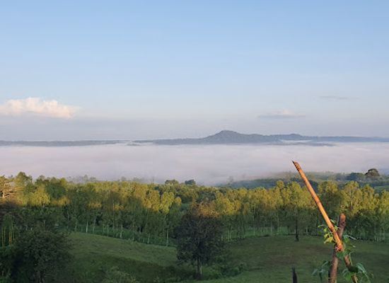 thailand/phetchabun-mountains/landmark/khao-takhian-ngo-monastery