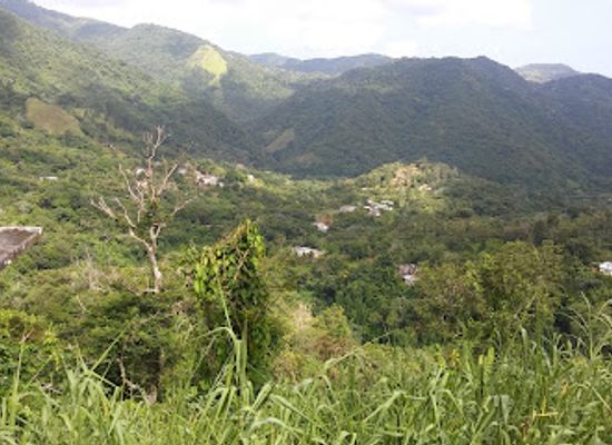 puerto-rico/puerto-rican-cordillera/landmark/hacienda-negron