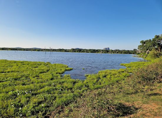 sri-lanka/ruhuna/landmark/yala-national-park