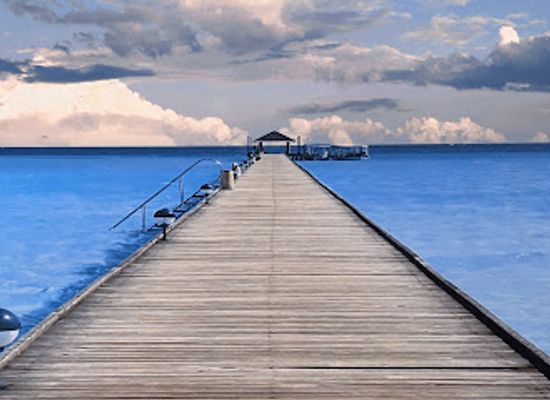 florida/marathon-key/landmark/sweet-savannah-s-of-the-florida-keys