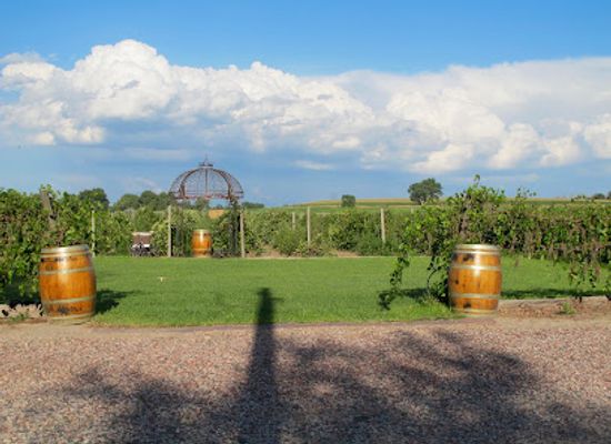 wyoming/goshen-county/landmark/wyo-wine-table-mountain-vineyards