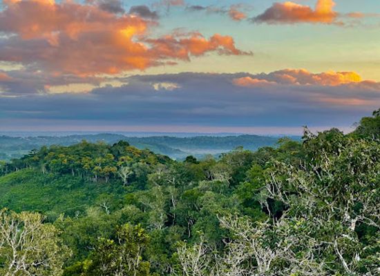 belize/mountain-pine-ridge/landmark/chial-reserve