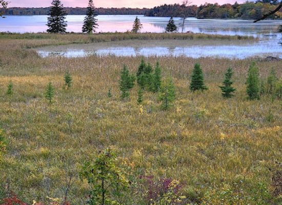 minnesota/otter-tail-lakes-country/landmark/tamarac-national-wildlife-refuge-visitor-center