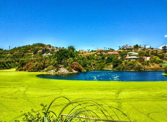 spain/costa-del-sol/landmark/selwo-aventura