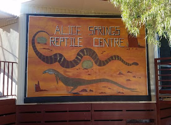 australia/alice-springs/landmark/alice-springs-reptile-centre