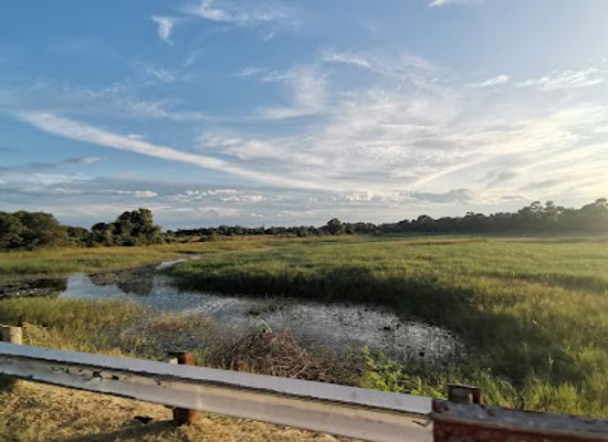 botswana/kalahari-desert/landmark/thamalakane-river
