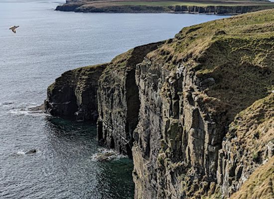 united-kingdom/orkney/attraction/roseness-walk-2