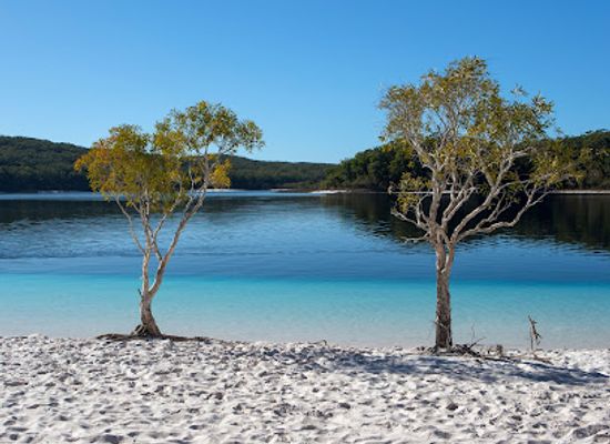 australia/fraser-coast/landmark/k-gari-explorer-tours