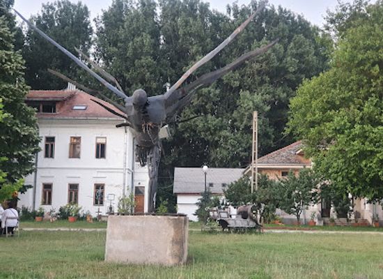 romania/dolj/landmark/port-cultural-cetate