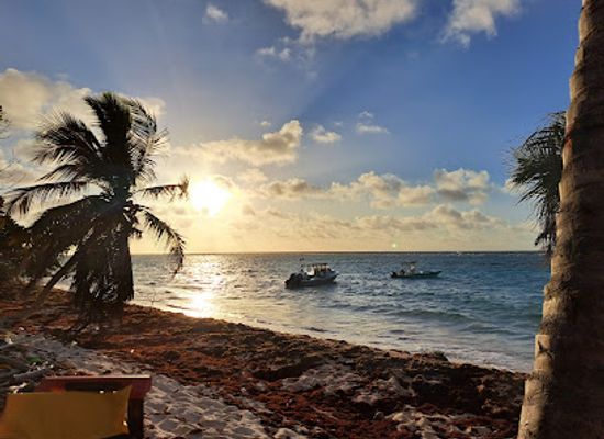 puerto-rico/mona-island/landmark/playa-pajaros