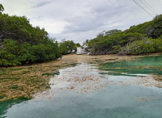 honduras/roatan/landmark/manawakie-eco-nature-park