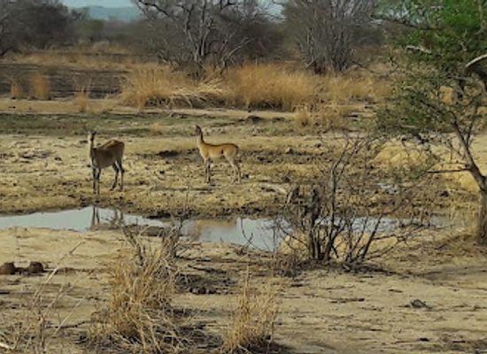 benin/pendjari-national-park/landmark/pendjari