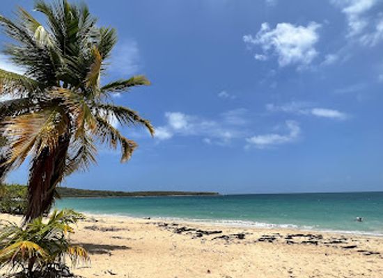 puerto-rico/vieques/landmark/playa-sun-bay