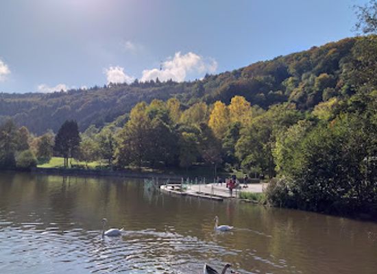 luxembourg/echternach/landmark/lac-d-echternach