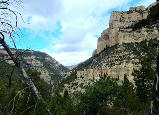 wyoming/big-horn-county/landmark/bucking-mule-falls-trailhead