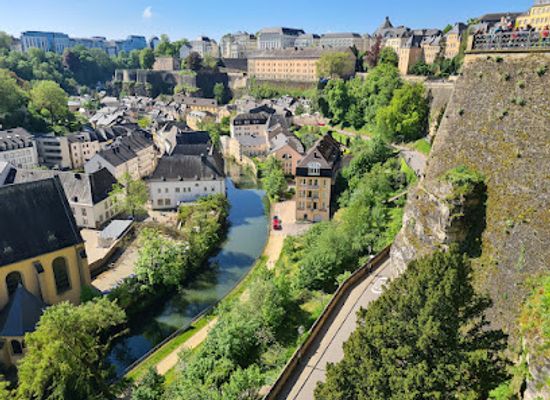 luxembourg/upper-moselle-nature-park/landmark/luxembourg-national-museum-of-natural-history