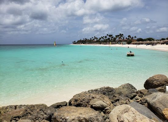 aruba/eagle-beach/landmark/divi-beach