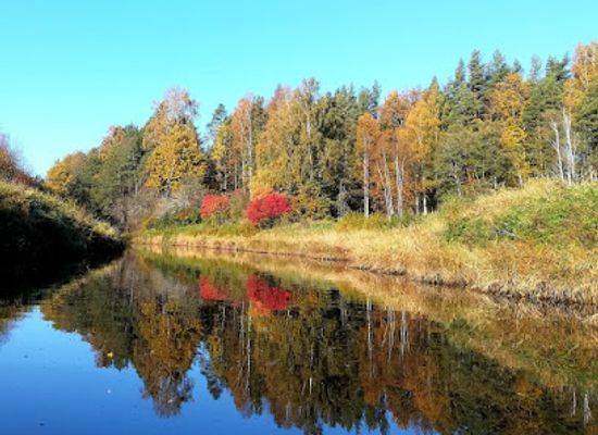 latvia/teici-nature-reserve/landmark/hiking-in-latvia