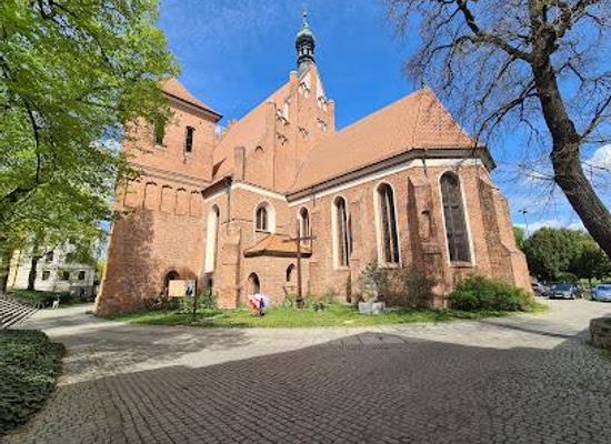 poland/kuyavia/landmark/katedra-pw-sw-marcina-i-mikolaja